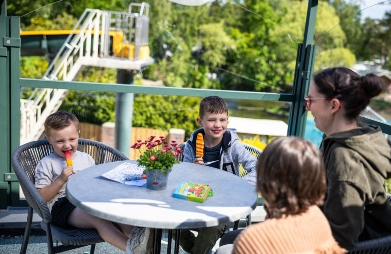 Formaat fotos website 14